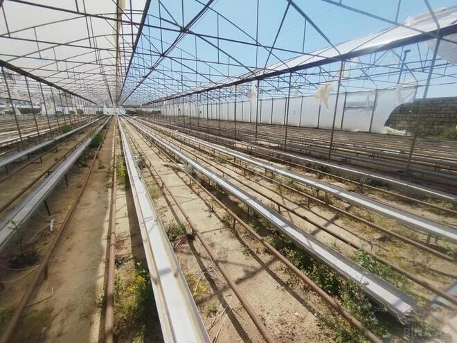 Satılır  obyekt 20 000 m², Zirə q., photo 1 from 8