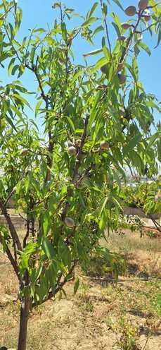 Продаётся  участок 5.5 сот, photo 20 from 32