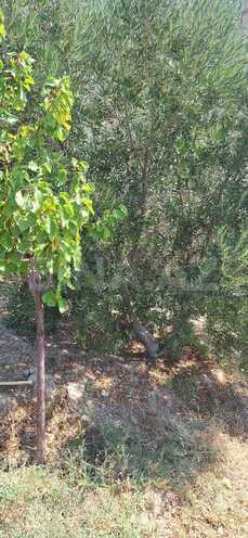 Продаётся  участок 5.5 сот, photo 12 from 32