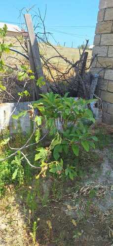 Продаётся  участок 5.5 сот, photo 16 from 32