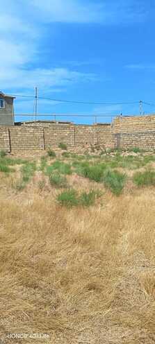 İcarəyə verilir  torpaq 6 sot, Abşeron r., photo 6 from 12