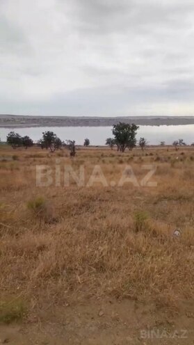 Satılır  torpaq 188 sot, Saray q., photo 1 from 5