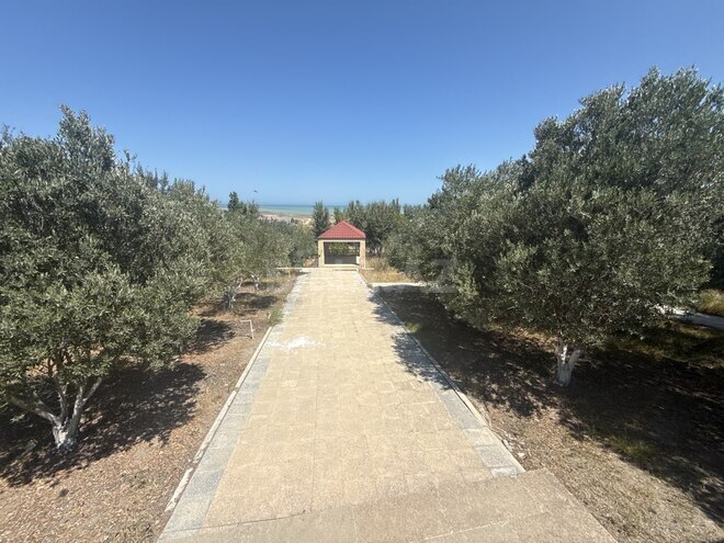 Satılır 6 otaqlı həyət evi/bağ evi 200 m², photo 21 from 31