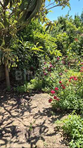 Satılır 3 otaqlı həyət evi/bağ evi 74 m², Mərdəkan q., photo 4 from 20