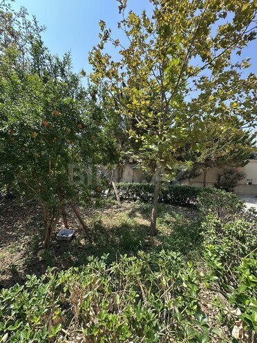 Satılır 6 otaqlı həyət evi/bağ evi 190 m², Zabrat q., photo 8 from 32