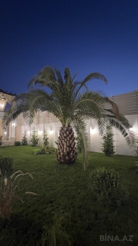 Продаётся 6-комн. дом/дача 350 м², пос. Мардакан, photo 8 from 23