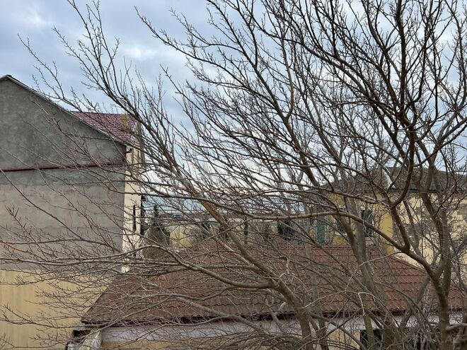 Satılır 8 otaqlı həyət evi/bağ evi 180 m², Hövsan q., photo 10 from 14