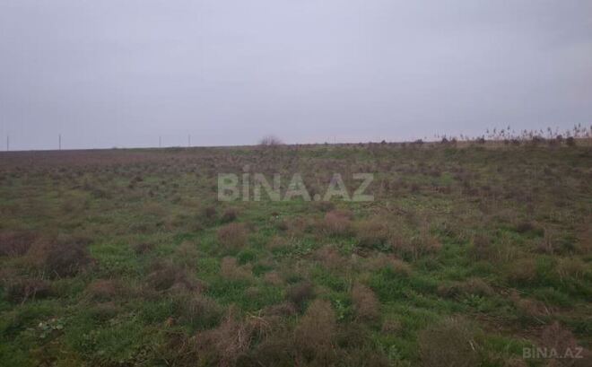 Satılır  torpaq 2 312 sot, photo 1 from 9