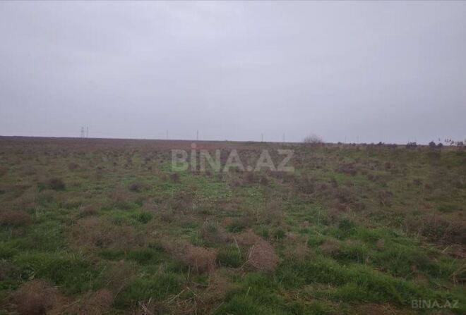 Satılır  torpaq 2 312 sot, photo 7 from 9