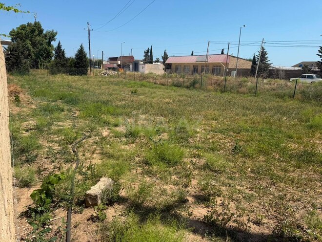 İcarəyə verilir  torpaq 24 sot, Zirə q., photo 8 from 18
