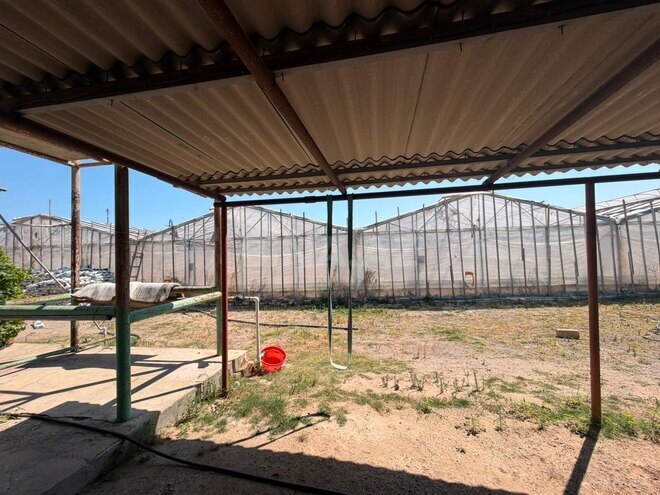 İcarəyə verilir  torpaq 24 sot, Zirə q., photo 14 from 18
