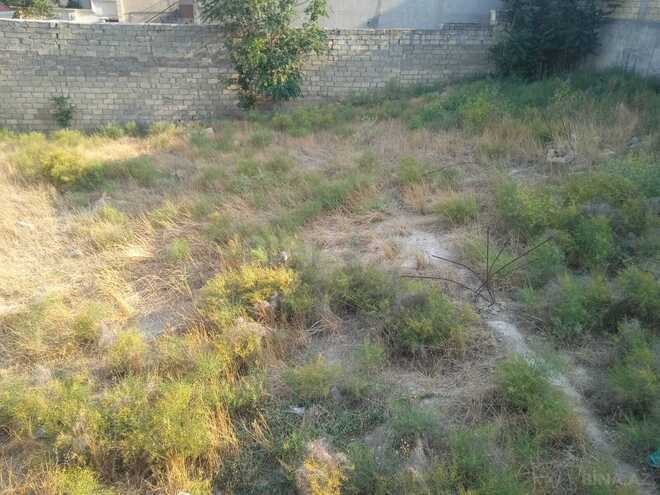 Продаётся  участок 9 сот, пос. Бадамдар, photo 4 from 7