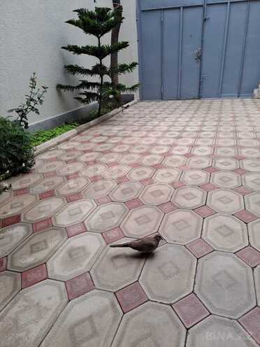 İcarəyə verilir 4 otaqlı həyət evi/bağ evi 160 m², Nəriman Nərimanov m., photo 14 from 20
