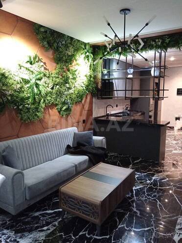 İcarəyə verilir 2 otaqlı yeni tikili 74 m², Nəriman Nərimanov m., photo 19 from 32
