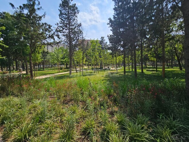 Продаётся 4-комн. новостройка 185 м², Наримановский  р., photo 4 from 21