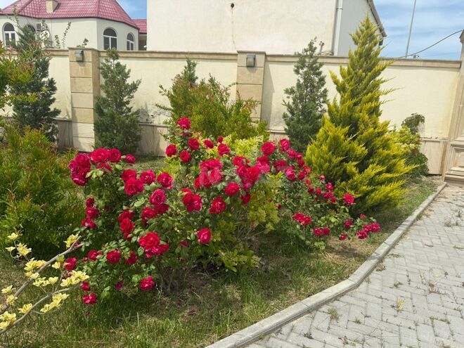İcarəyə verilir 6 otaqlı həyət evi/bağ evi 400 m², Mərdəkan q., photo 11 from 24