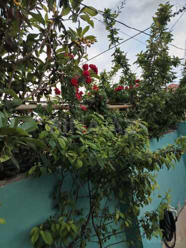 Satılır 3 otaqlı həyət evi/bağ evi 81 m², Yeni Ramana q., photo 13 from 14