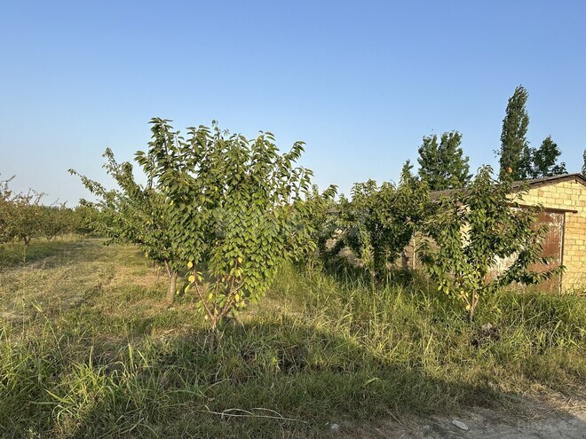 Satılır  torpaq 200 sot, Xaçmaz r., photo 3 from 12