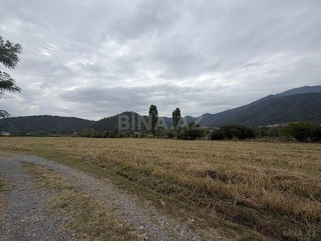 Продаётся  участок 51 сот, photo 8 from 11