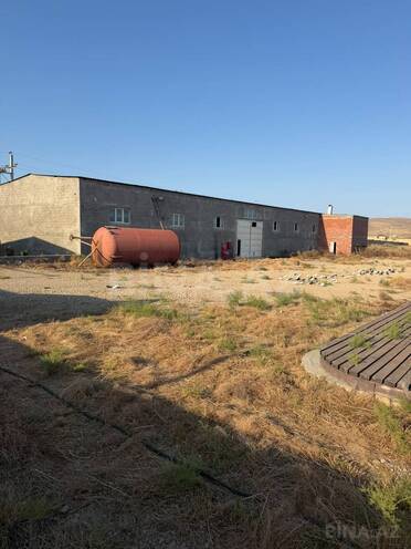 Сдаётся  объект 20 000 м², пос. Кобу, photo 24 from 27