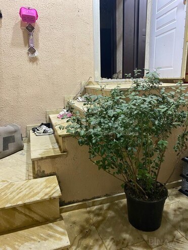 Продаётся 3-комн. дом/дача 90 м², пос. Бинагади, photo 1 from 15
