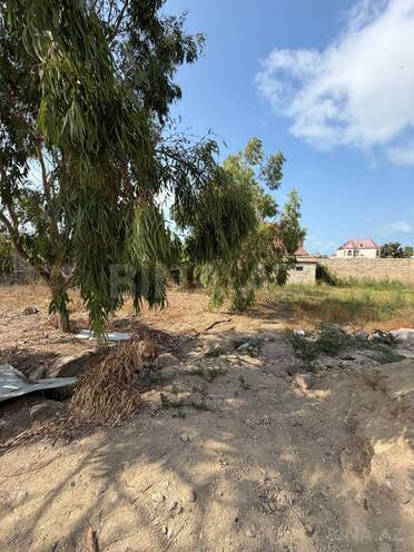 Satılır  torpaq 8.5 sot, Mərdəkan q., photo 5 from 8