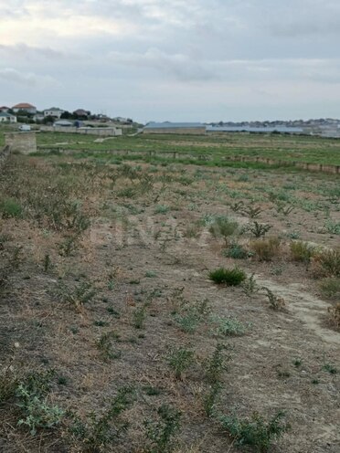 Продаётся  участок 25 сот, Абшеронcкий  р., photo 8 from 15