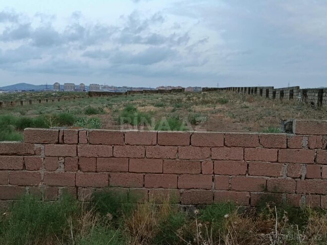 Продаётся  участок 25 сот, Абшеронcкий  р., photo 6 from 15