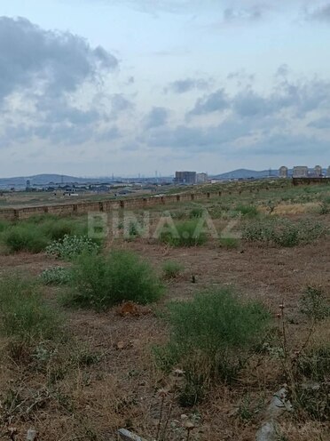 Продаётся  участок 25 сот, Абшеронcкий  р., photo 7 from 15