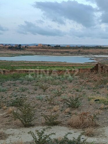 Продаётся  участок 25 сот, Абшеронcкий  р., photo 12 from 15