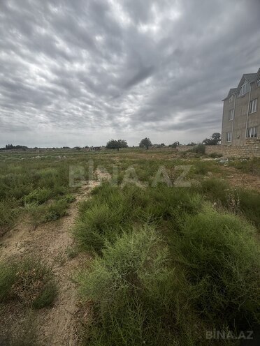 Satılır  torpaq 12 sot, Nardaran q., photo 5 from 6