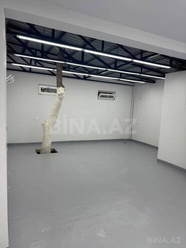 Сдаётся  объект 55 м², м. Гянджлик, photo 5 from 8