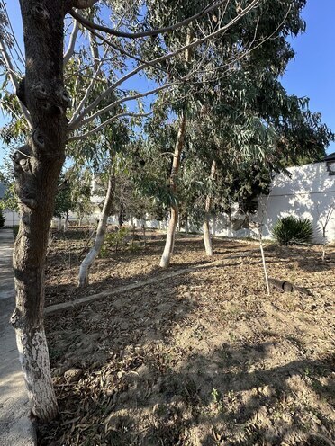 Satılır  torpaq 12 sot, Mərdəkan q., photo 5 from 7