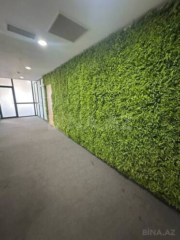İcarəyə verilir 5 otaqlı ofis 190 m², Şah İsmayıl Xətai m., photo 1 from 14