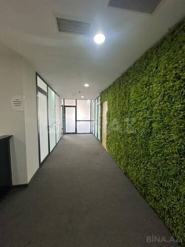 İcarəyə verilir 5 otaqlı ofis 190 m², Şah İsmayıl Xətai m., photo 3 from 14