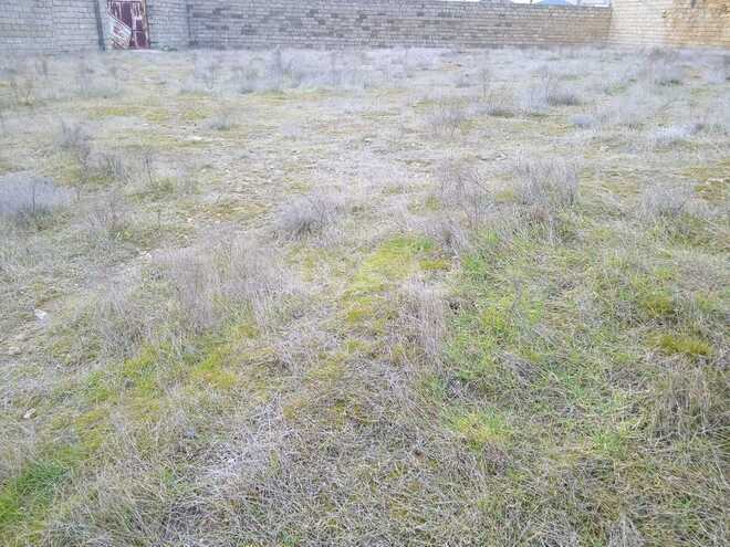 Продаётся  участок 5 сот, пос. Бадамдар, photo 4 from 6