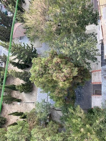 Продаётся 3-комн. вторичка 80 м², м. Халглар Достлугу, photo 23 from 24