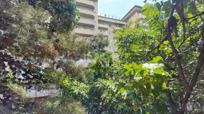 Satılır 3 otaqlı köhnə tikili 75 m², Elmlər Akademiyası m., photo 30 from 32
