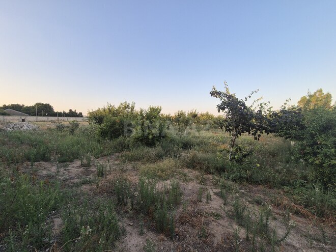 Satılır  torpaq 50 sot, Sabunçu r., photo 3 from 11