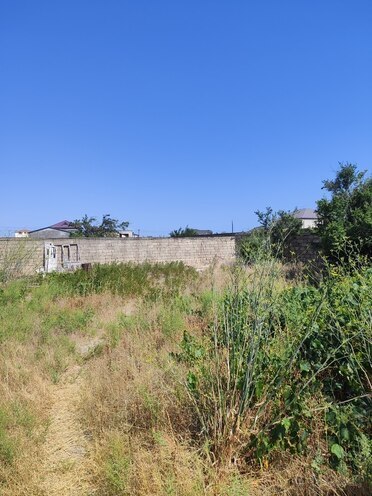Satılır  torpaq 5 sot, Türkan q., photo 3 from 5