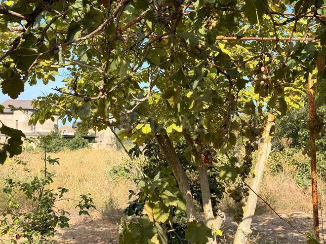 Продаётся  участок 31 сот, пос. Sea Breeze, photo 20 from 23