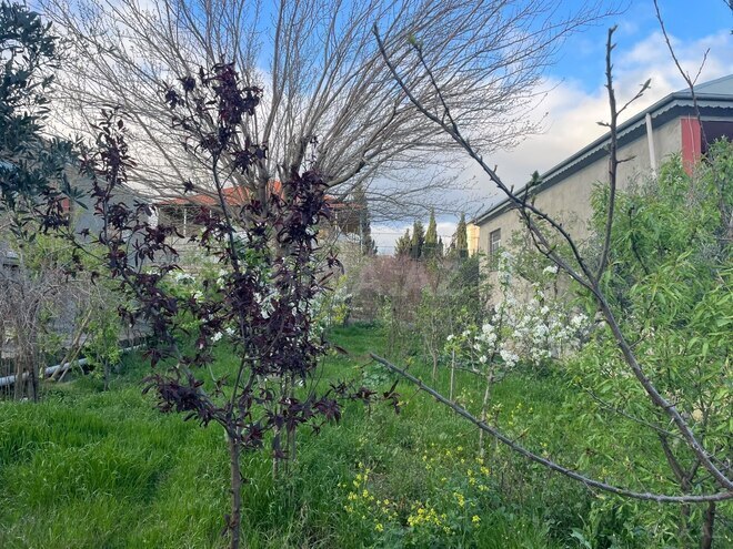 Satılır  torpaq 4.5 sot, Zığ q., photo 1 from 5