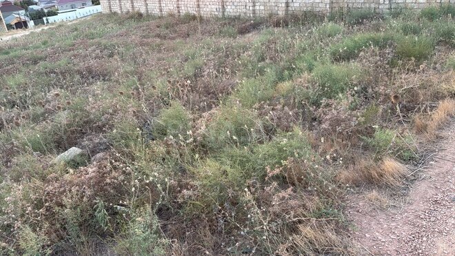 Satılır  torpaq 5 sot, Mehdiabad q., photo 4 from 5