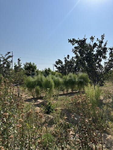 Продаётся 9-комн. дом/дача 800 м², пос. Тюркан, photo 27 from 30