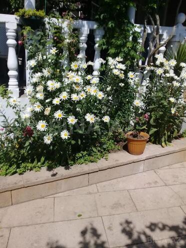 Satılır 8 otaqlı həyət evi/bağ evi 300 m², Suraxanı r., photo 9 from 28