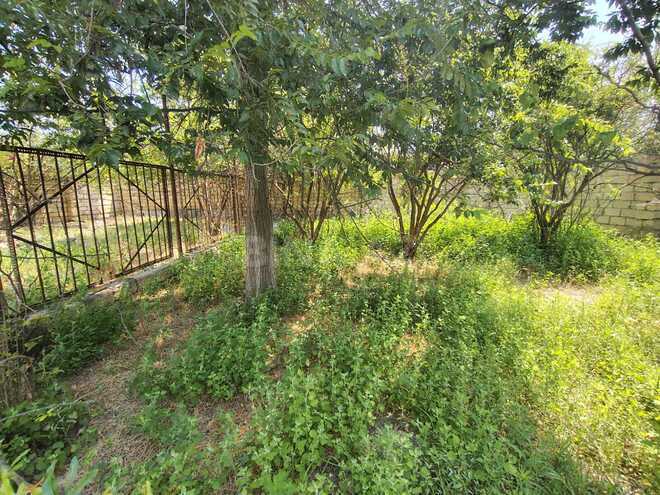Продаётся 4-комн. дом/дача 200 м², пос. Новханы, photo 12 from 32