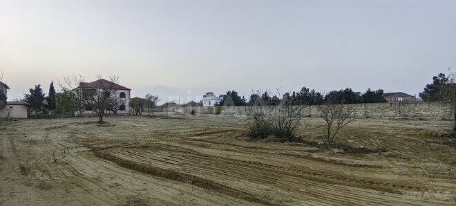 Satılır  torpaq 50 sot, Bilgəh q., photo 3 from 13