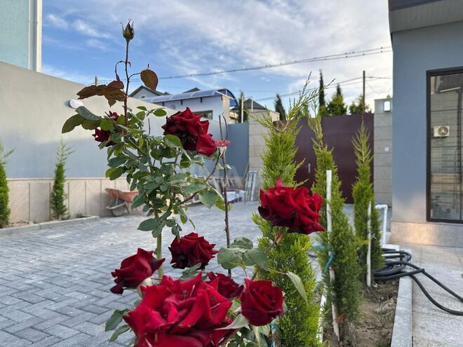 İcarəyə verilir 5 otaqlı həyət evi/bağ evi 300 m², Şüvəlan q., photo 9 from 32