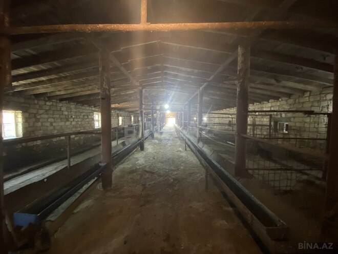 Satılır  obyekt 5 000 m², photo 3 from 29