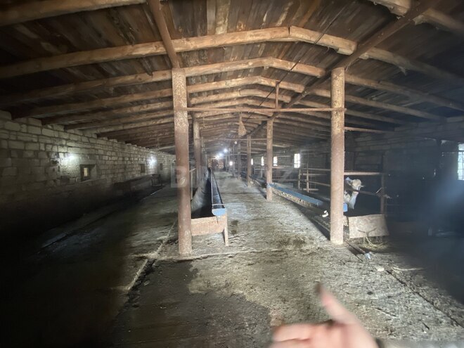 Satılır  obyekt 5 000 m², photo 25 from 29